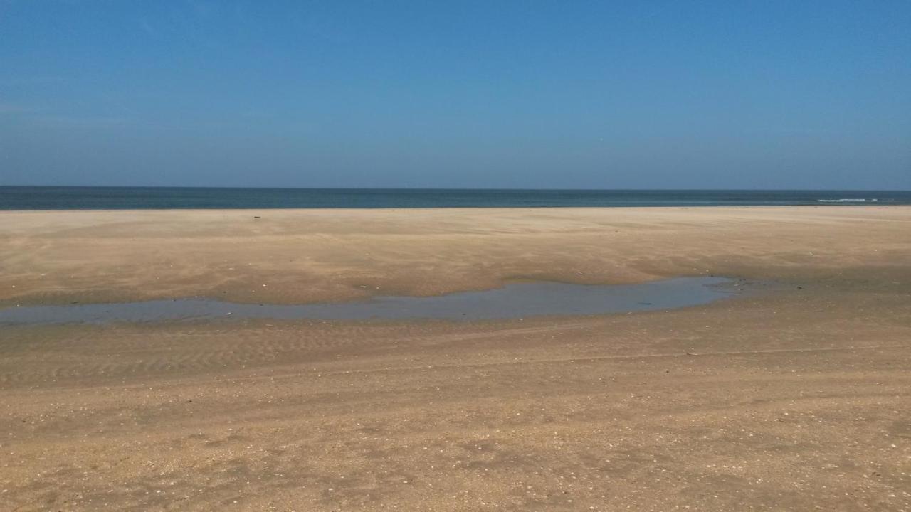 Vitamin Sea Heemskerk Kültér fotó