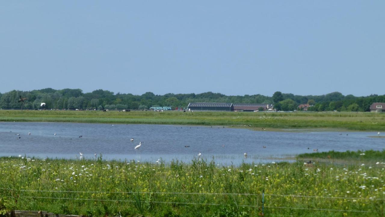Vitamin Sea Heemskerk Kültér fotó